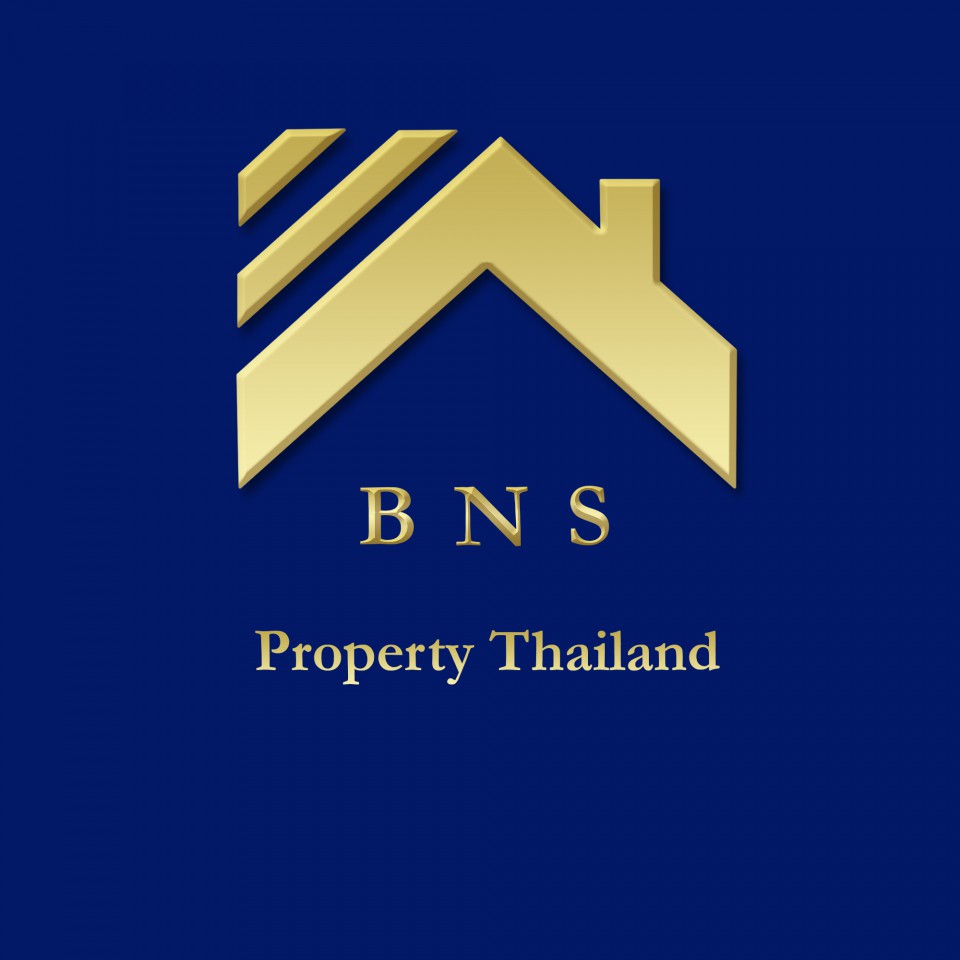 ฺBNS propertyth