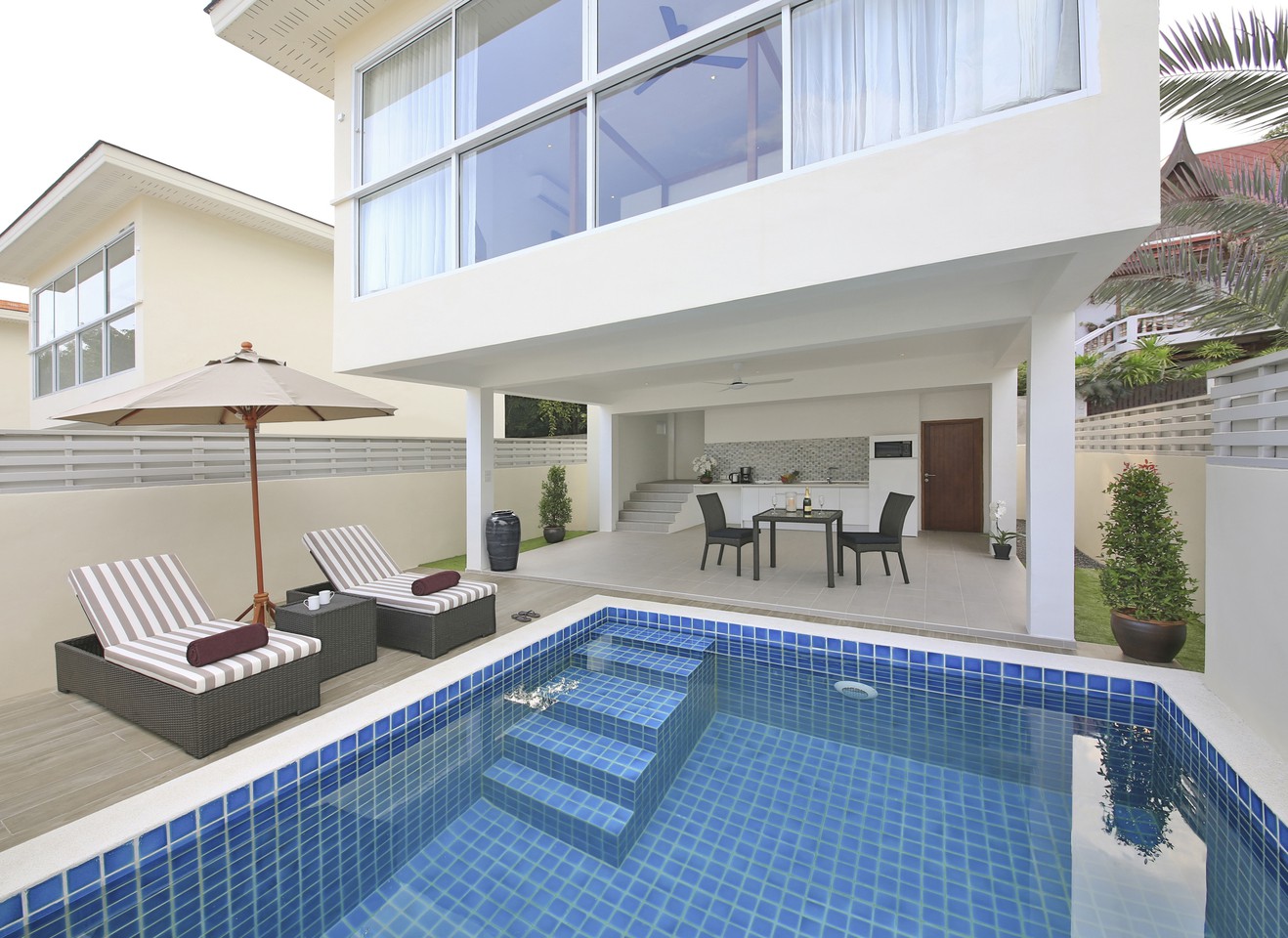 Samui Blue Orchid SBO