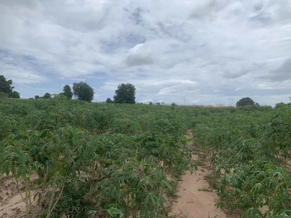 452893005_10161633934488624_2320600811994307464_n